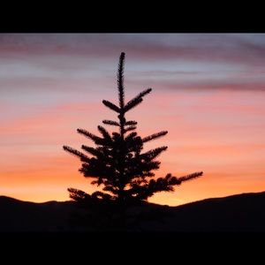 Meet your Posher, Sierra